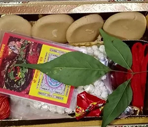 Special Shravan Prashad